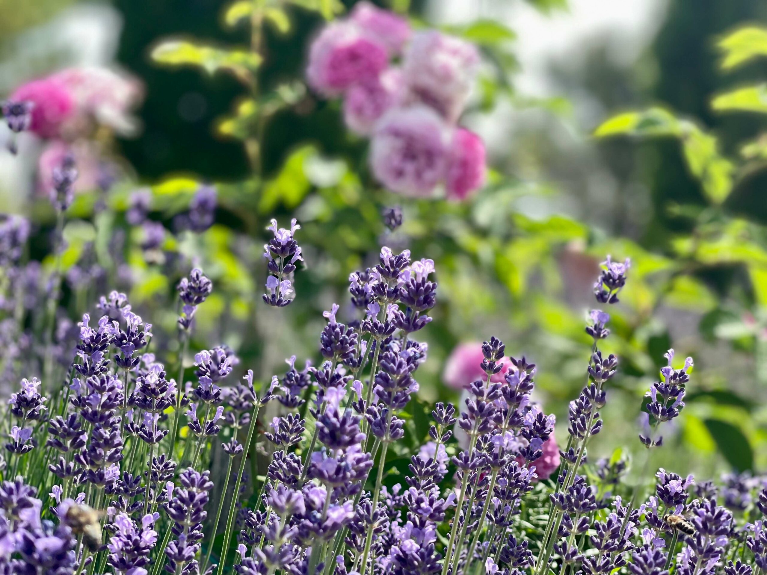 10 min tiefenentspannung
