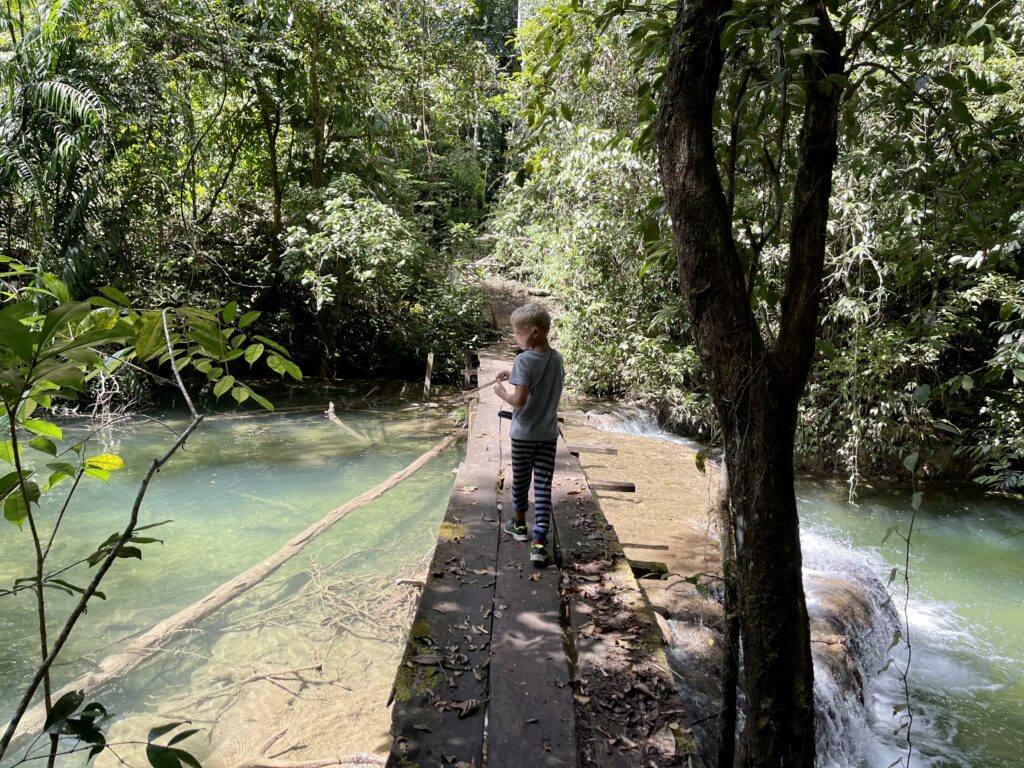 geführte Traumreise nach Mexiko Chiapas kleine Brücke im Dschungel